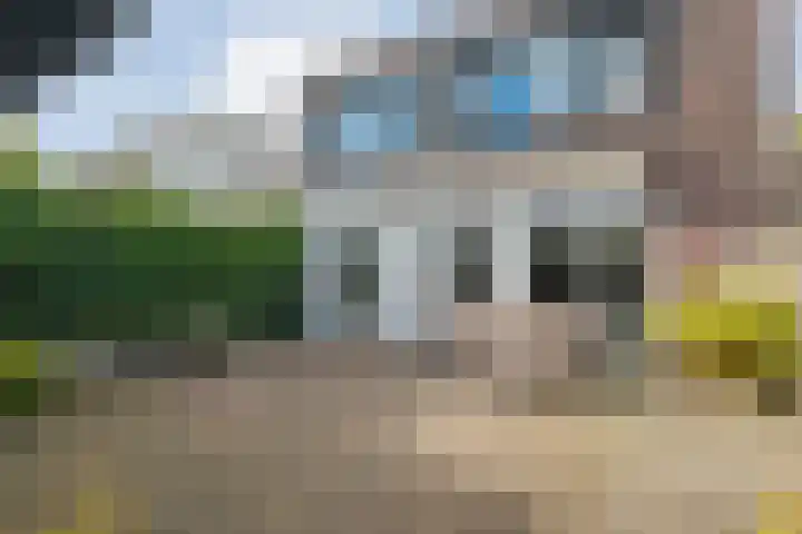 Boekbinderstraat 33 Zwolle thumbnail 29