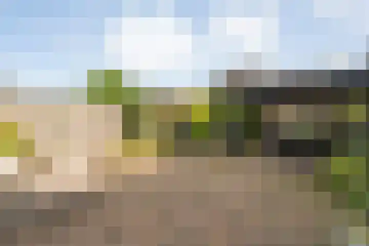 Boekbinderstraat 33 Zwolle thumbnail 31