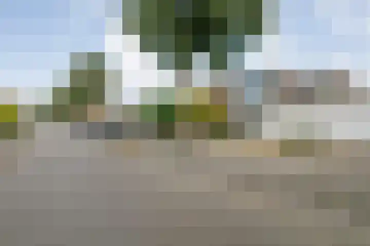 Boekbinderstraat 33 Zwolle thumbnail 34