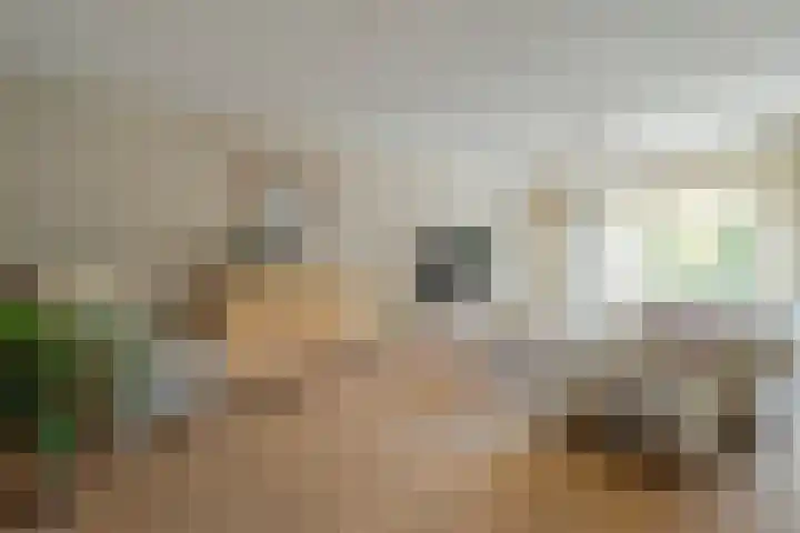 Boekbinderstraat 33 Zwolle thumbnail 4