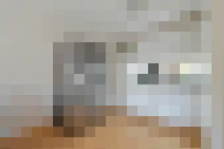 Boekbinderstraat 33 Zwolle thumbnail 6