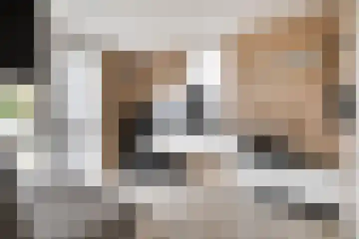 Boekbinderstraat 33 Zwolle thumbnail 9