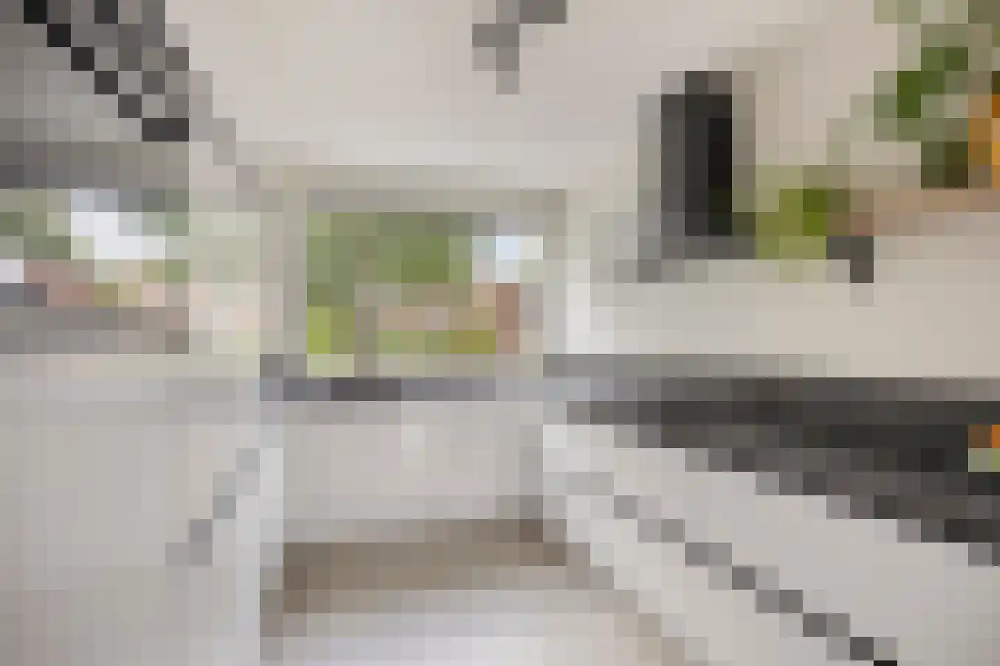 Boekbinderstraat 38 Purmerend thumbnail 5