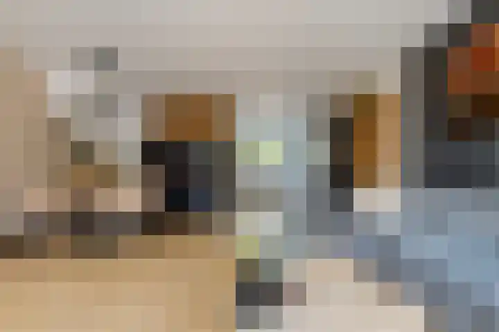 Boekbinderstraat 44 Purmerend thumbnail 18