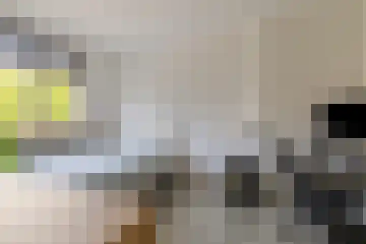 Boekbinderstraat 44 Purmerend thumbnail 26