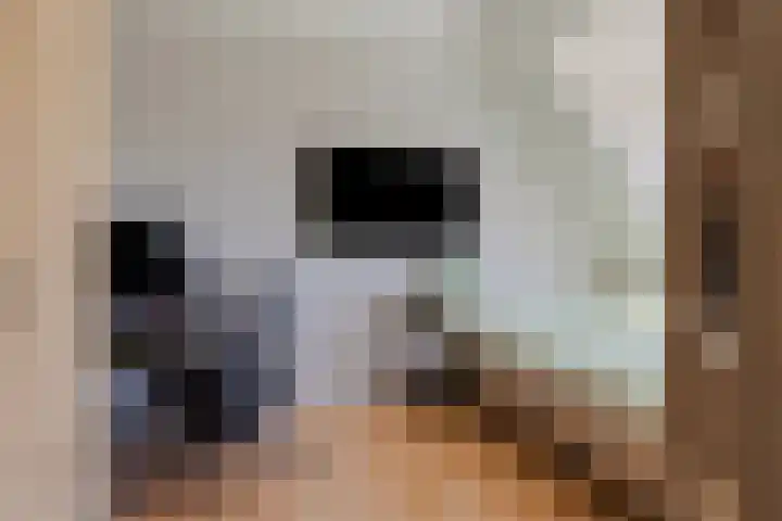 Boekbinderstraat 44 Purmerend thumbnail 31