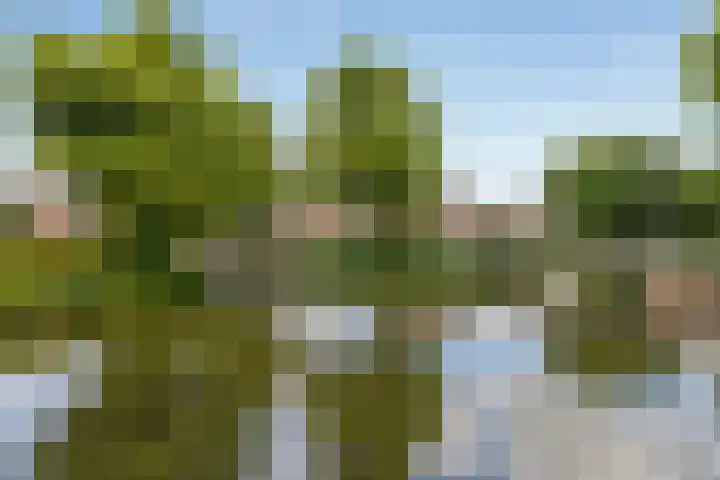 Boekbinderstraat 44 Purmerend thumbnail 38