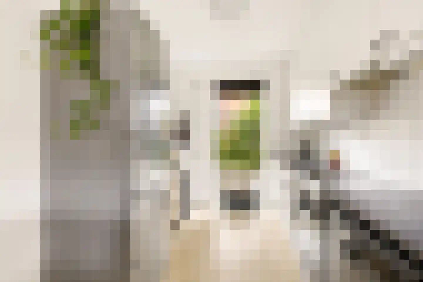 Boekbinderstraat 45 Zwolle thumbnail 11