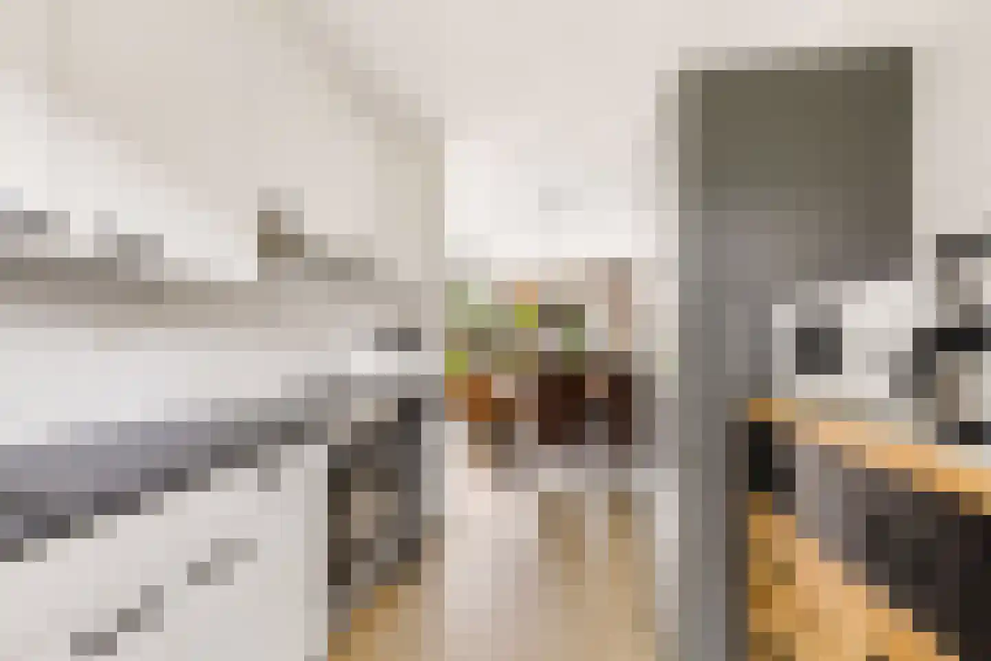 Boekbinderstraat 45 Zwolle thumbnail 13