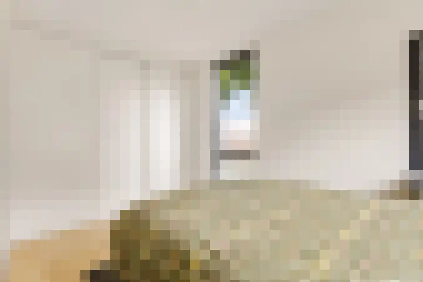 Boekbinderstraat 45 Zwolle thumbnail 17