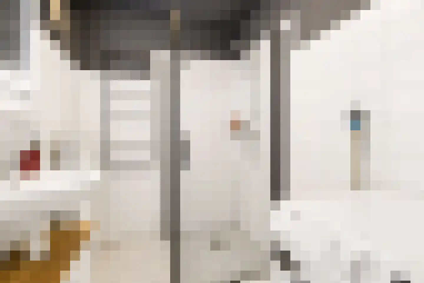 Boekbinderstraat 45 Zwolle thumbnail 22