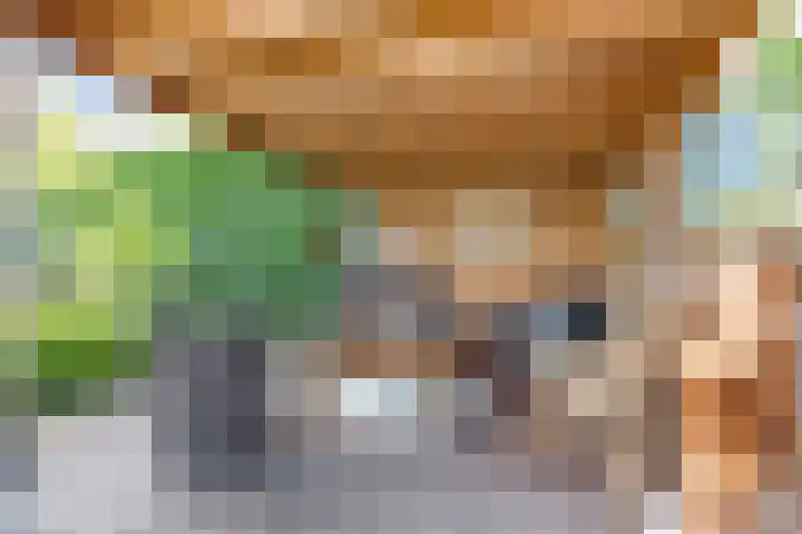 Boekdrukkersgilde 51 Houten thumbnail 28