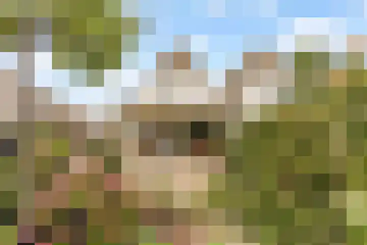 Boekdrukkersgilde 51 Houten thumbnail 29