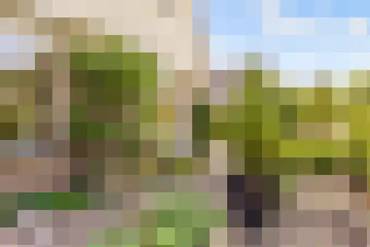 Boekdrukkersgilde 51 Houten foto 3
