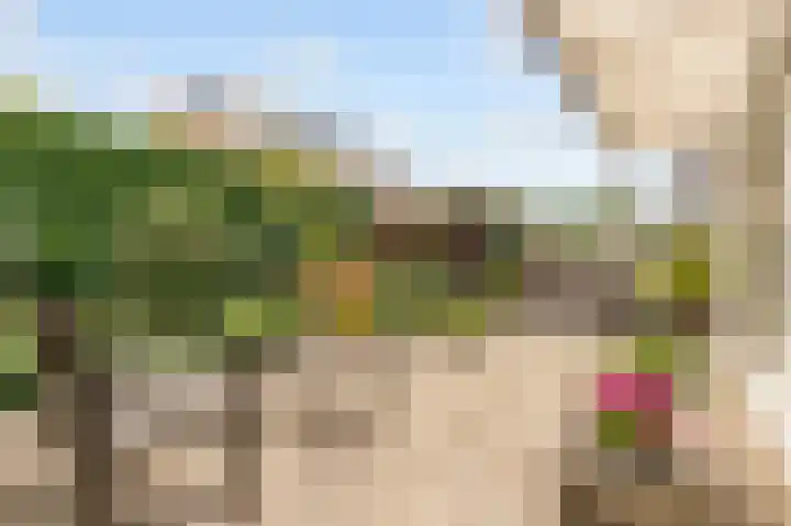 Boekdrukkersgilde 51 Houten thumbnail 32