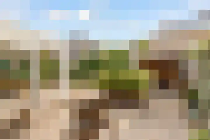 Boekdrukkersgilde 51 Houten thumbnail 34