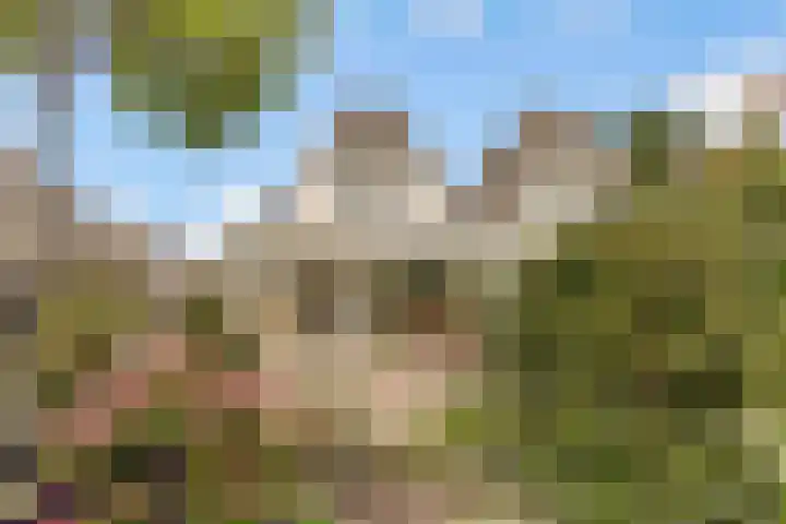 Boekdrukkersgilde 51 Houten thumbnail 35
