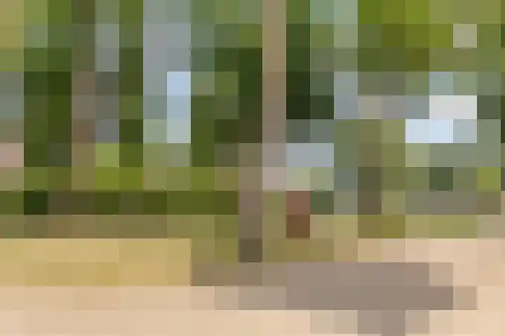 Boekdrukkersgilde 51 Houten thumbnail 36