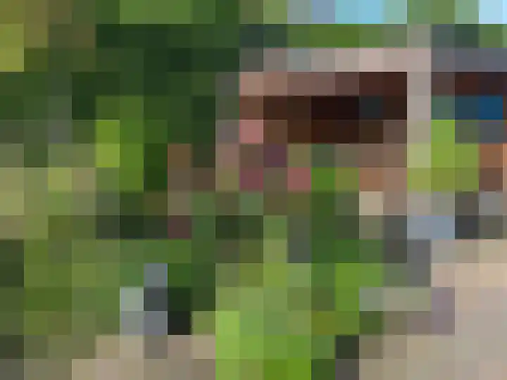 Boekdrukkersgilde 51 Houten thumbnail 38