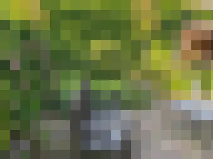 Boekdrukkersgilde 51 Houten thumbnail 39