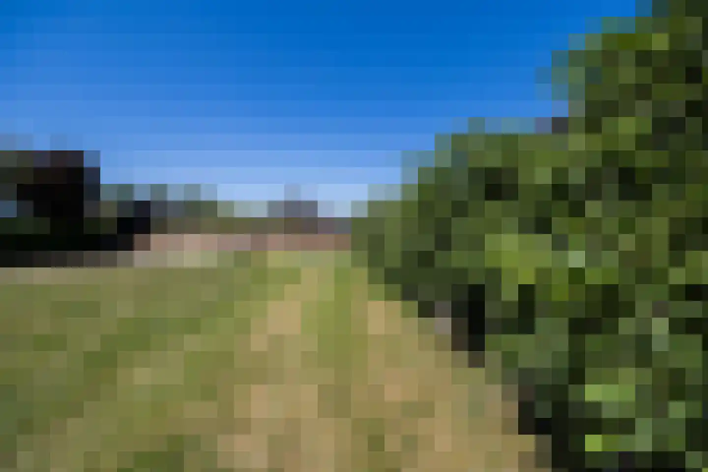 Boekdrukkersgilde Houten thumbnail 4