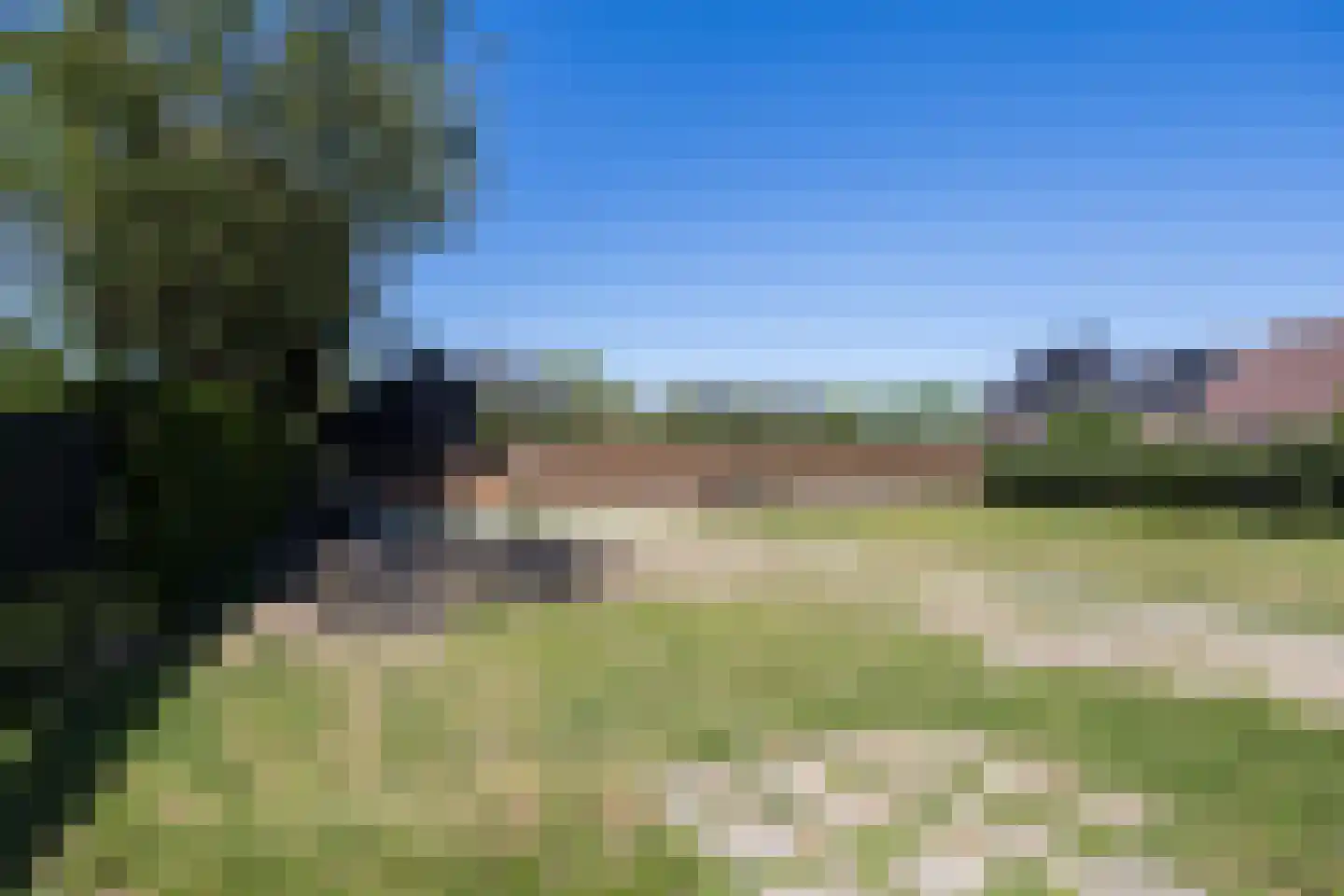 Boekdrukkersgilde Houten thumbnail 6