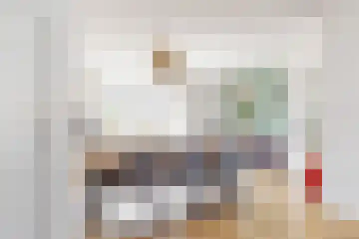 Boekdrukkerspad 1 Uitgeest thumbnail 10