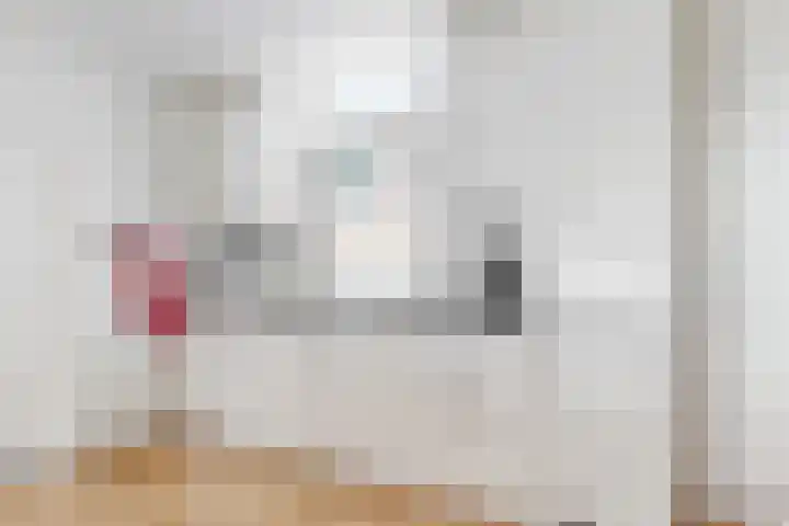 Boekdrukkerspad 1 Uitgeest thumbnail 11