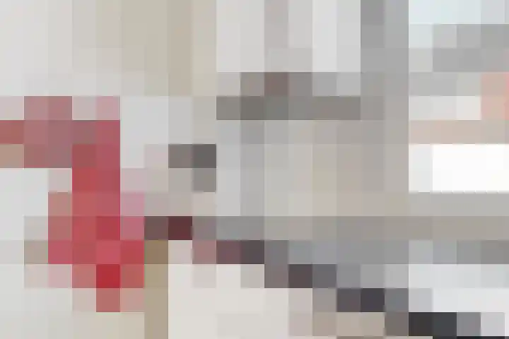 Boekdrukkerspad 1 Uitgeest thumbnail 12