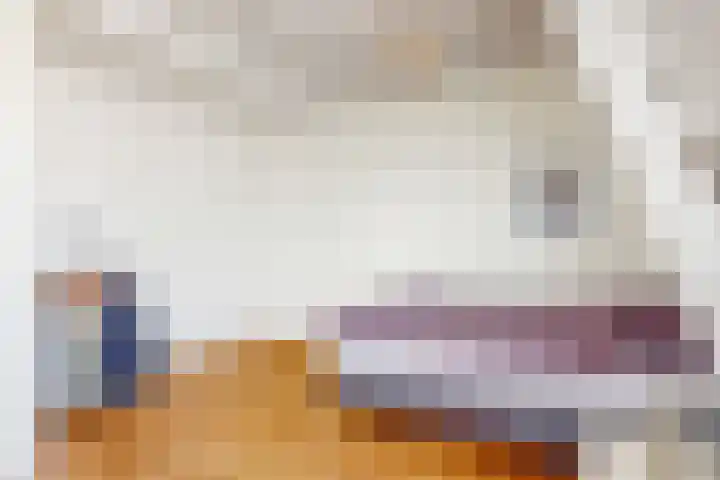 Boekdrukkerspad 1 Uitgeest thumbnail 17