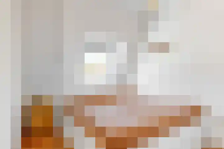 Boekdrukkerspad 1 Uitgeest thumbnail 19