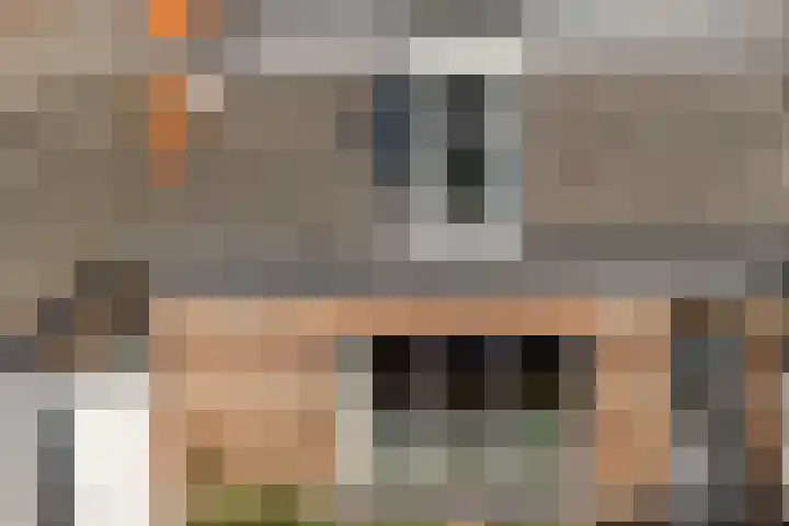 Boekdrukkerspad 1 Uitgeest foto 2