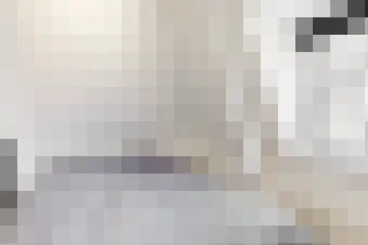 Boekdrukkerspad 1 Uitgeest thumbnail 21