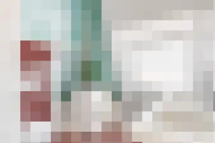 Boekdrukkerspad 1 Uitgeest thumbnail 23