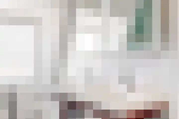 Boekdrukkerspad 1 Uitgeest thumbnail 26