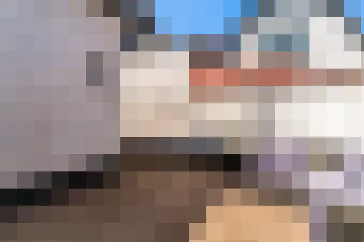 Boekdrukkerspad 1 Uitgeest thumbnail 28