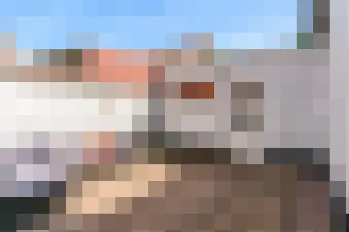 Boekdrukkerspad 1 Uitgeest thumbnail 29