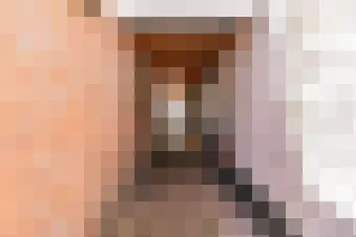 Boekdrukkerspad 1 Uitgeest thumbnail 30