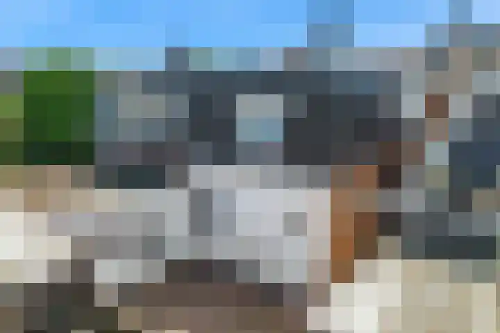 Boekdrukkerspad 1 Uitgeest thumbnail 31