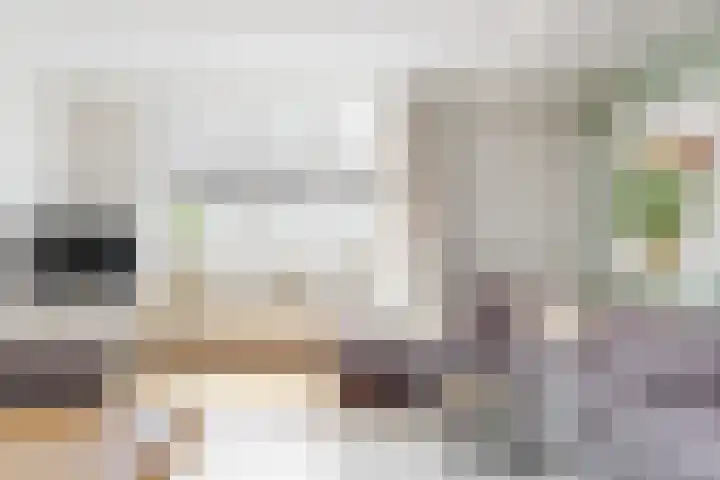 Boekdrukkerspad 1 Uitgeest thumbnail 8