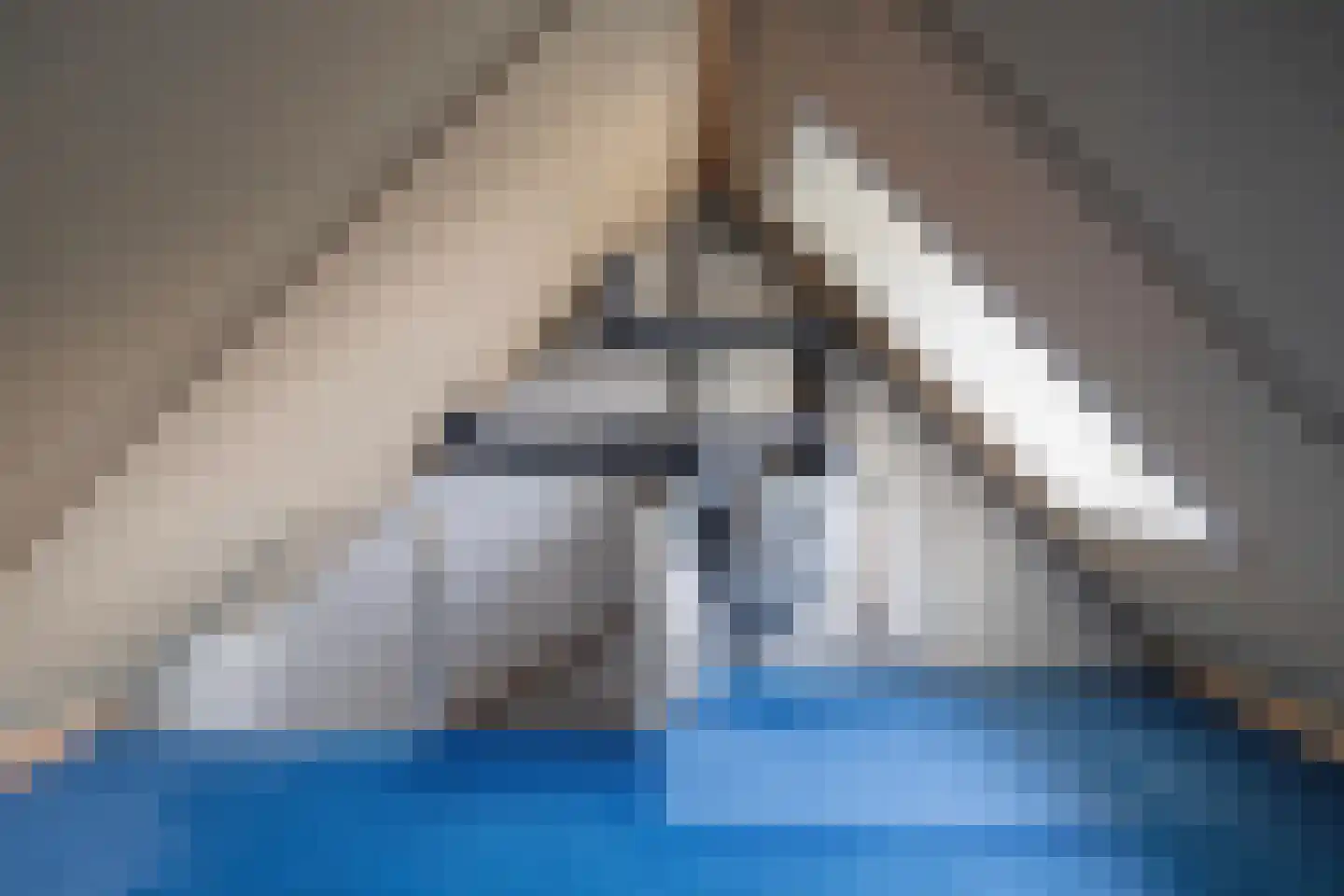 Boekdrukkersveste 26 Arnhem thumbnail 35