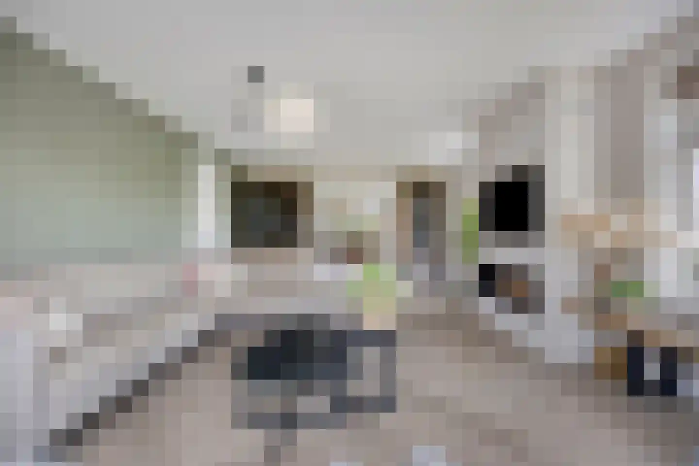 Boekebeamstrjitte 25 Lemmer thumbnail 11