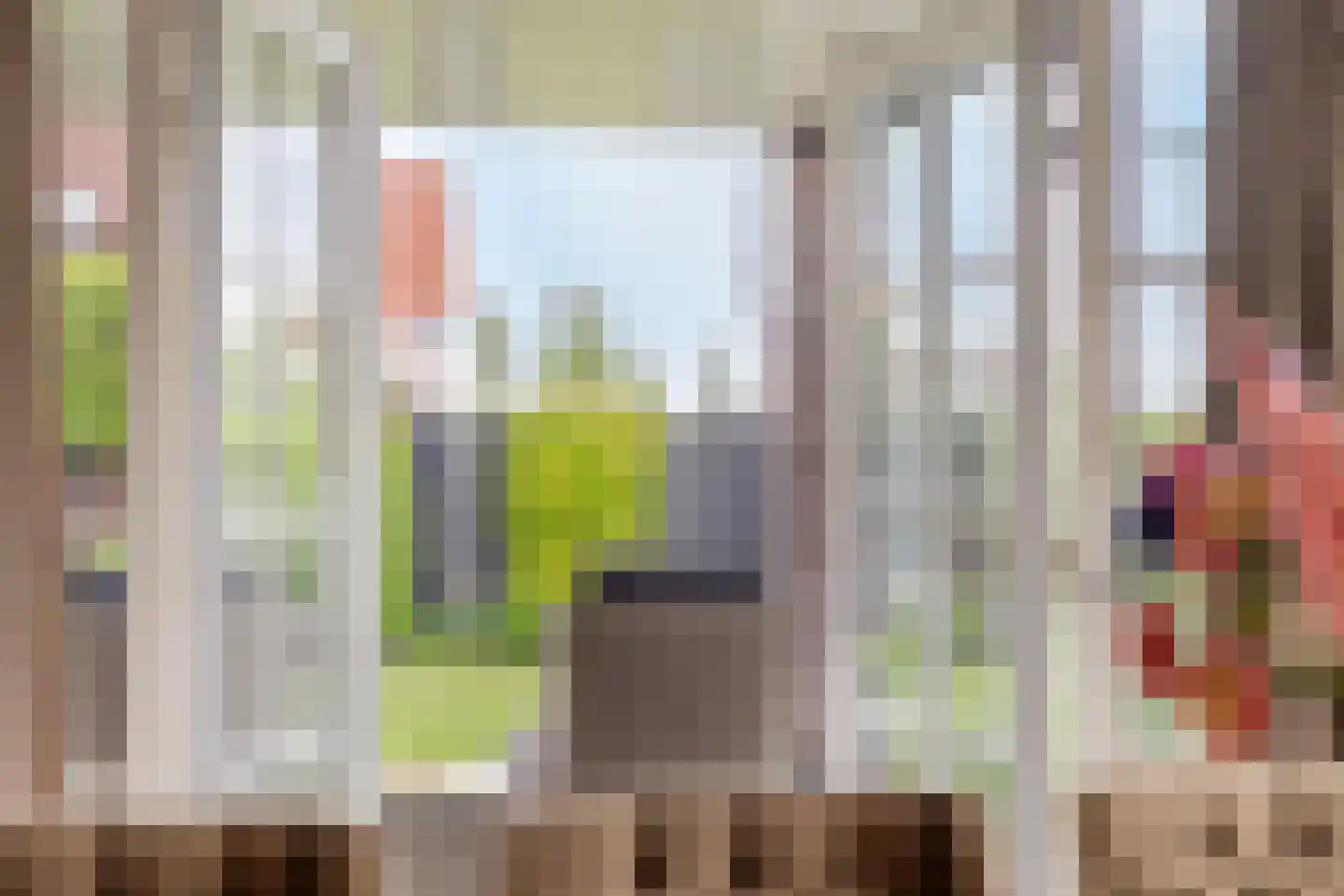 Boekebeamstrjitte 25 Lemmer thumbnail 17