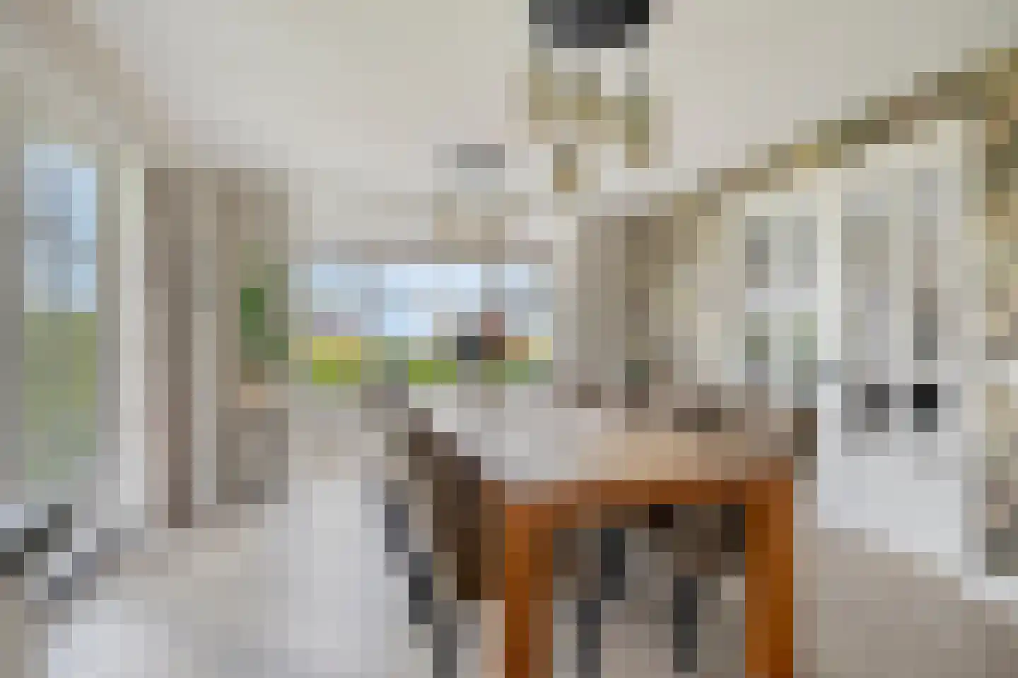 Boekebeamstrjitte 25 Lemmer thumbnail 25
