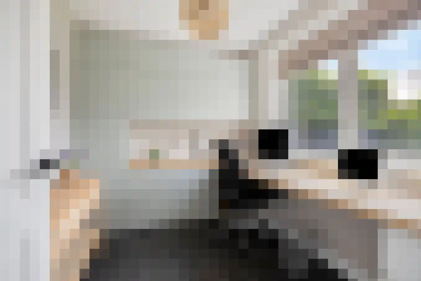 Boekebeamstrjitte 25 Lemmer thumbnail 29
