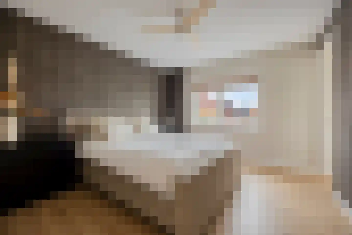 Boekebeamstrjitte 25 Lemmer thumbnail 35