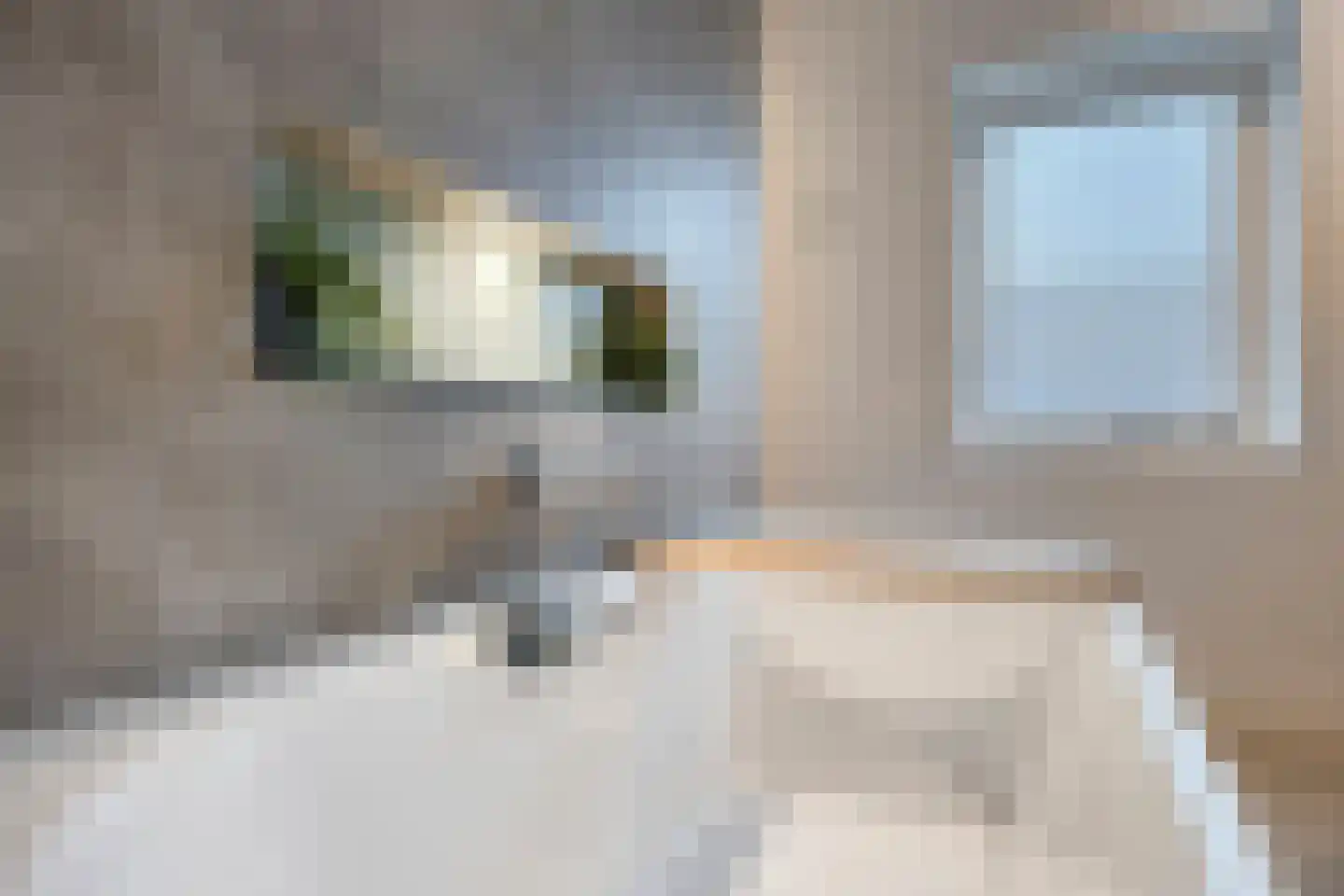 Boekebeamstrjitte 25 Lemmer thumbnail 43