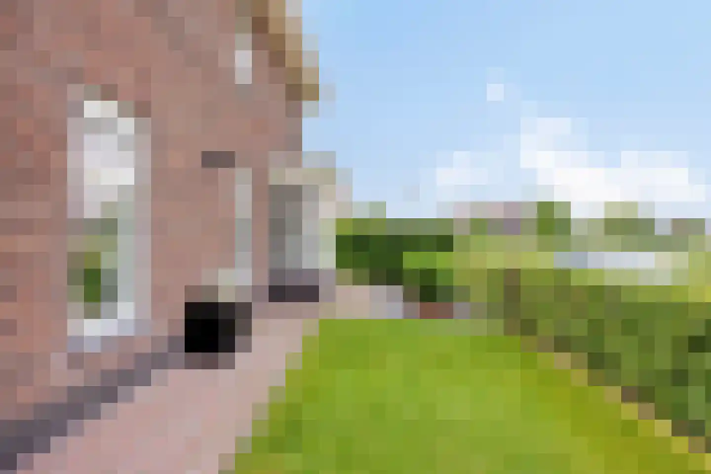 Boekebeamstrjitte 25 Lemmer thumbnail 59
