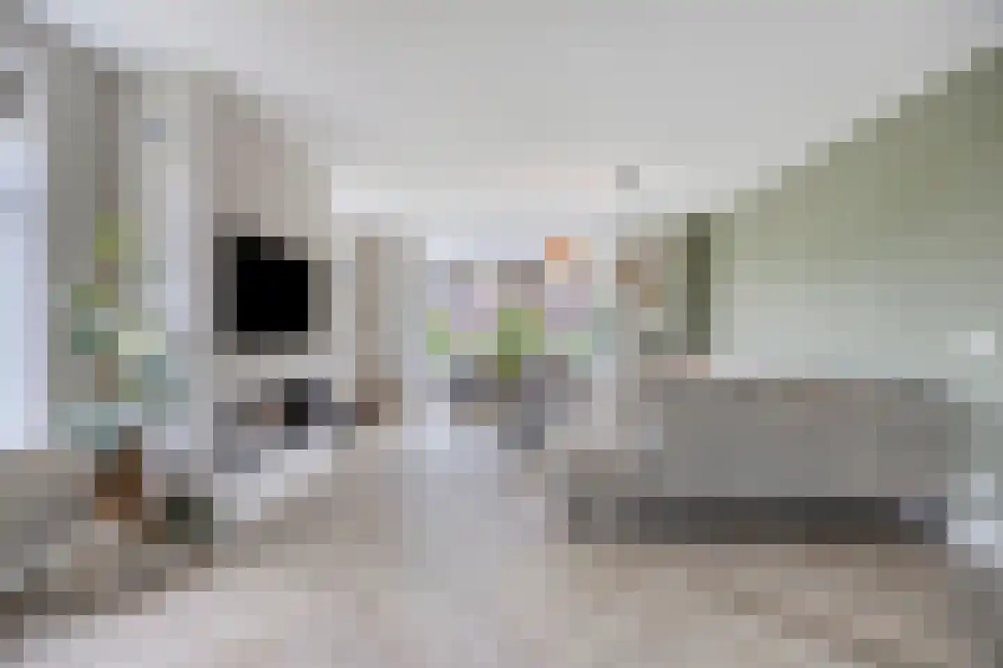 Boekebeamstrjitte 25 Lemmer thumbnail 6