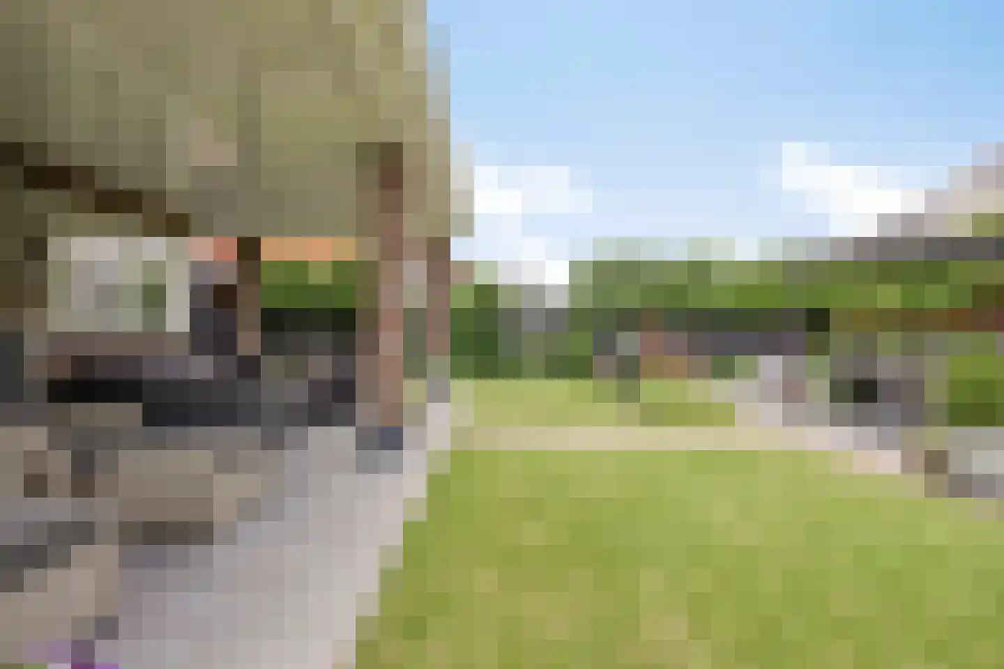 Boekebeamstrjitte 25 Lemmer thumbnail 64